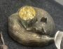 At Home in the Country - NEW Bronze Sleeping Fox Tea Light Holder